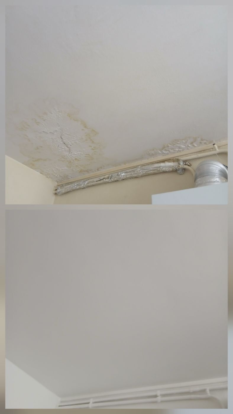 Plafond après dégât des eaux